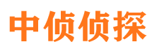 海港市侦探调查公司